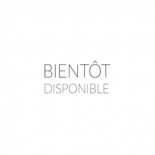 Conserves de fruits Compote Pommes Cannelle 2